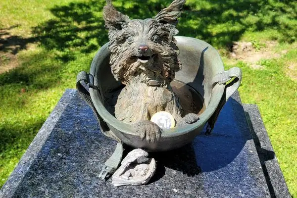 Мемориал Йорки Дудл Денди