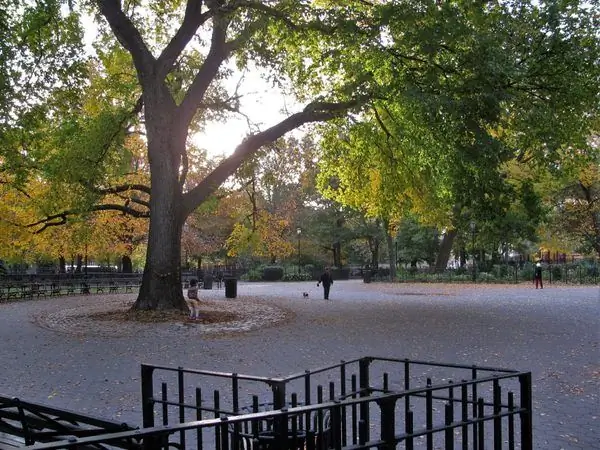 Дерево Харе Кришна