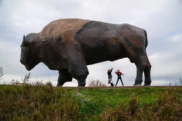 Самый большой буйвол в мире