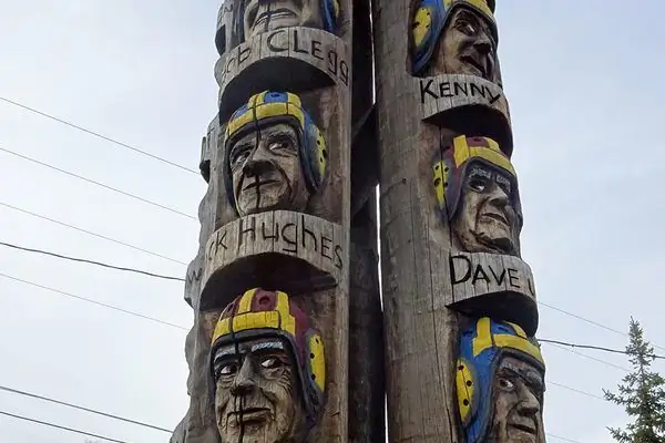 Причудливая сказка о шесте Codger