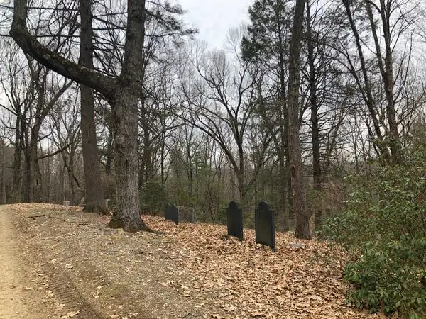 Могилы Давида и Мэйбл Тодд