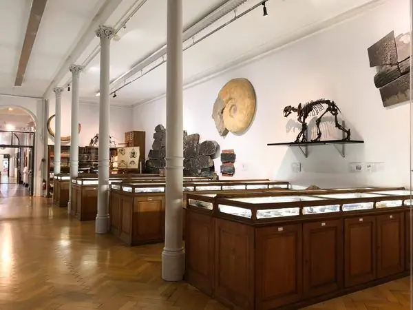 Палеонтологическая коллекция Тюбингенского университета