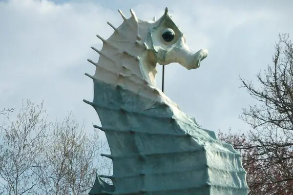 Солнечный морской конек