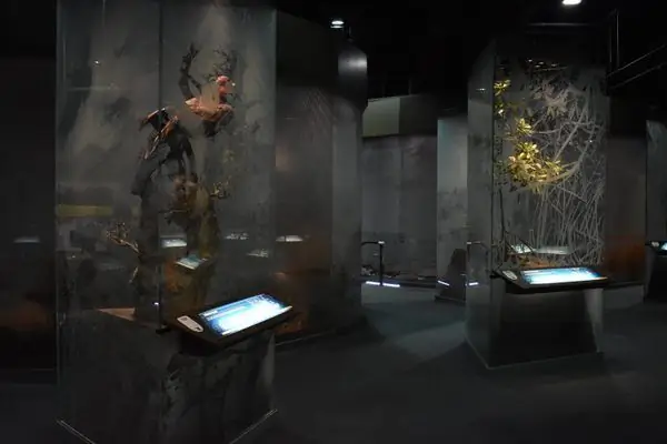 Выставка Центра дикой природы о животных «на грани»