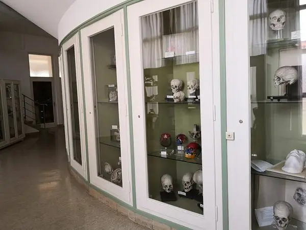 Каменный ребенок из Лайнцелля