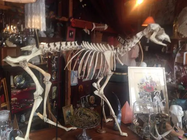 Сальмагунди Вест