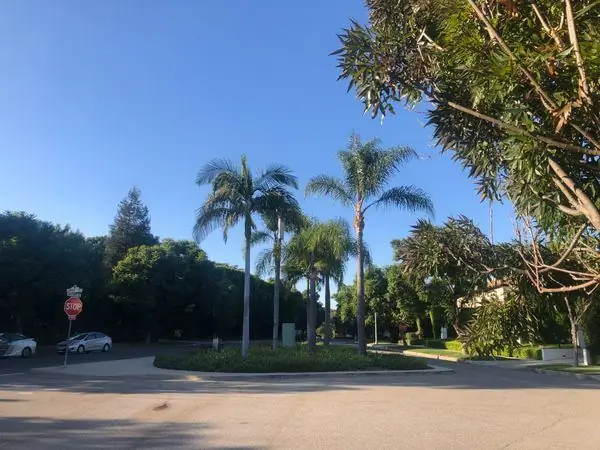 Беверли-Хиллз Бермудский треугольник