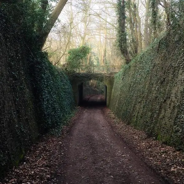 Чертов мост на Жутком переулке