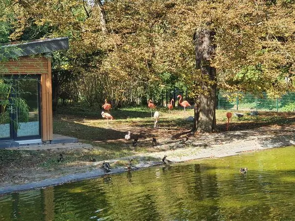 Городской парк Майнца