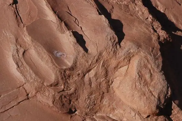 Национальный памятник доисторических троп