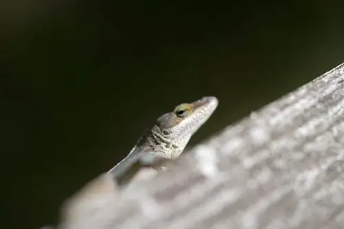 Природный заповедник Каскейд-Спрингс