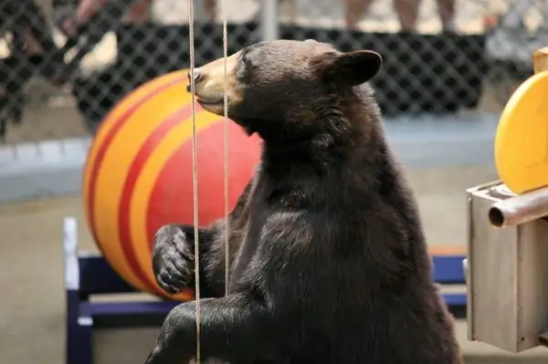 Торговый пост Кларка