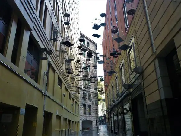 Звуки потерянных птиц Сиднея