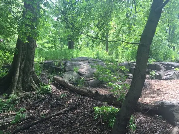 Природный заповедник Халлетт