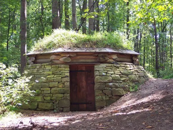 Облачная камера для деревьев и неба