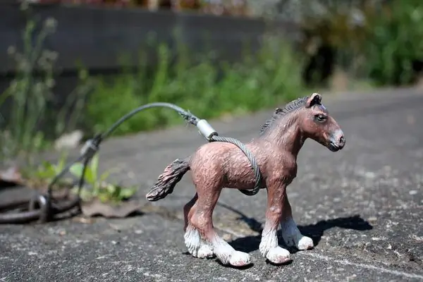 Маленькие лошади захватывают улицы Портленда