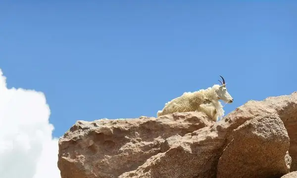 Гора Эванс Живописный переулок
