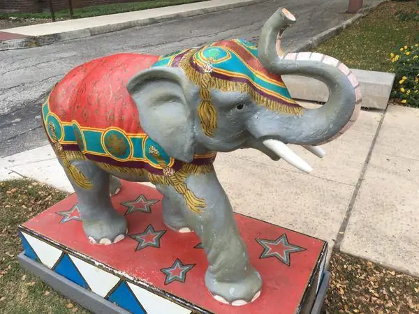 Cinnamon Цирковой слон Канди