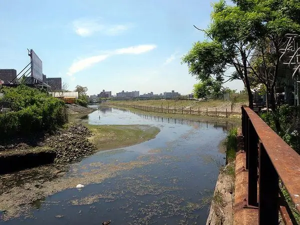 Кони-Айленд-Крик