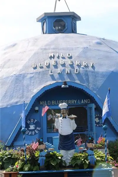 Земля дикой черники