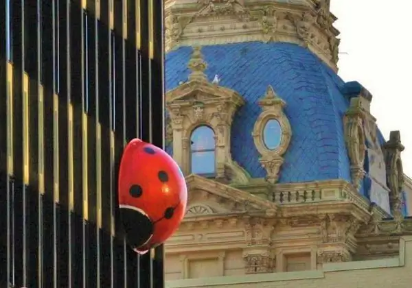 Здание божьей коровки