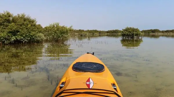 Мангровый лес Аль Такира