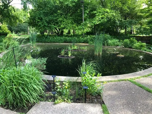 В. Ботанический сад Дж. Била