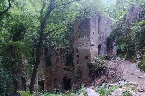 Валле делле Ферьере