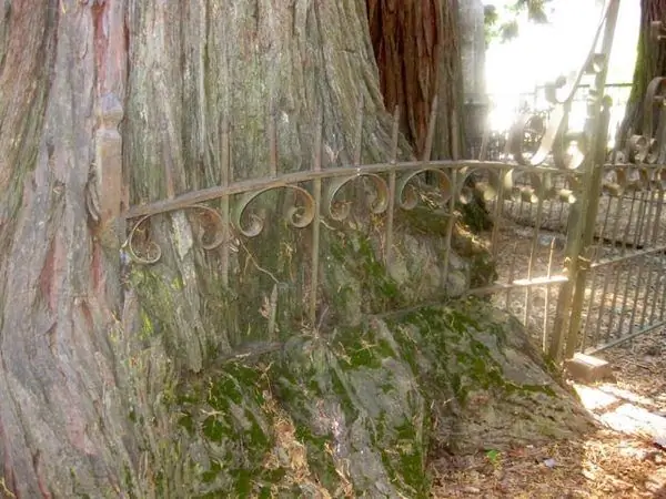 Старое кладбище Святого Патрика