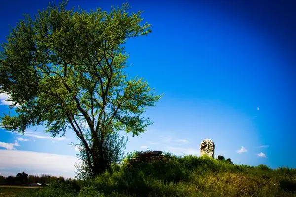 Могила мужчины и его лошади, убитых поездом