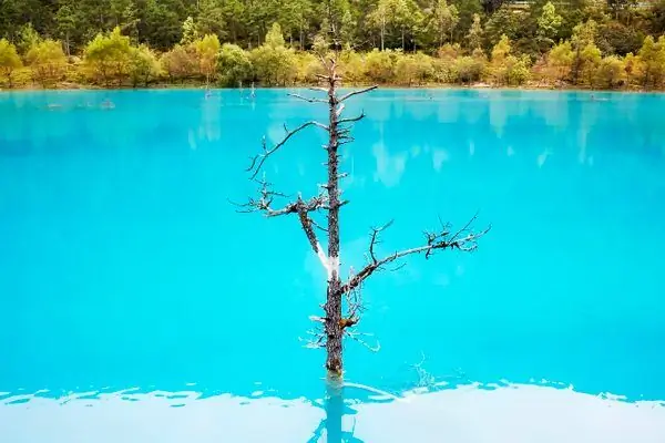 Долина Голубой Луны