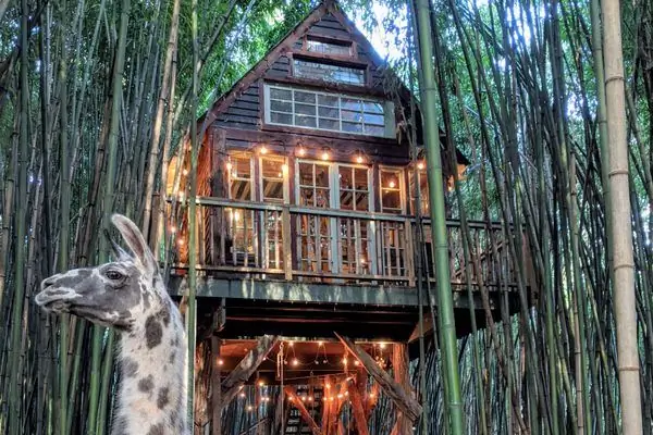 Домик на дереве из альпаки