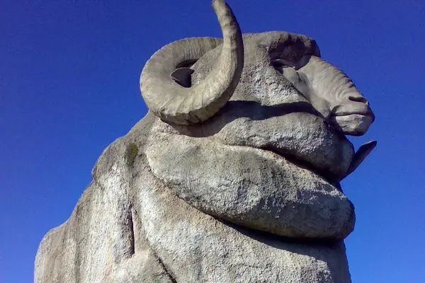 Большой Меринос