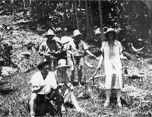 Вековая крысиная война австралийского райского острова