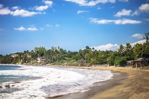 Белые пенящиеся волны скатываются в золотую песчаную дугу на пляже Сокровищ на Ямайке, а зеленые пальмы дрожат на ветру.