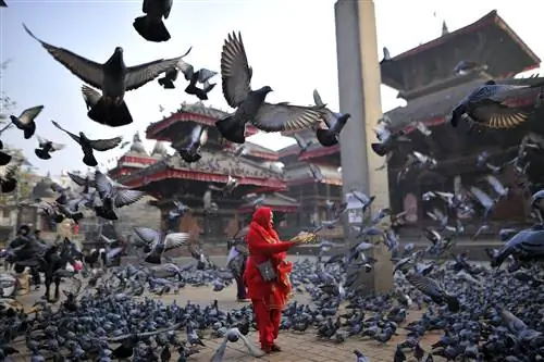 Женщина кормит птиц на площади Дурбар в Катманду.
