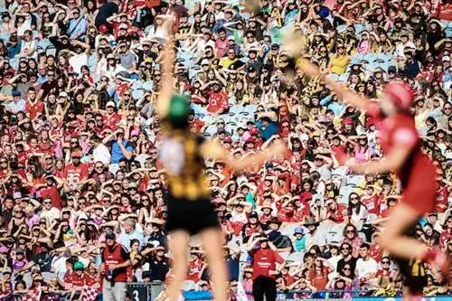 Попасть в: Хёрлинг в Ирландии