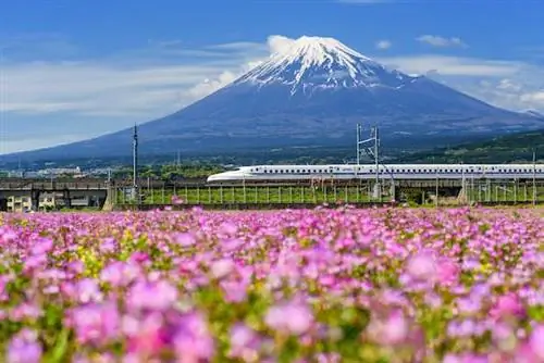 Цена проездного билета Japan Rail Pass в этом году вырастет более чем в два раза: это все еще хорошая сделка?