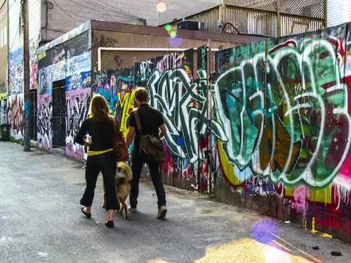 7 лучших бесплатных занятий в Торонто