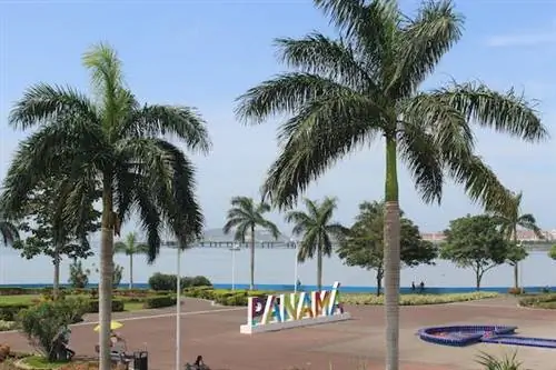 10 лучших бесплатных (и почти бесплатных) развлечений в Панама-Сити, Панама