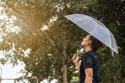 Вид сбоку на женщину, стоящую под зонтиком у дерева во время дождя в Бангкоке.