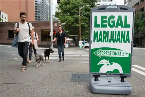 Люди проходят мимо вывески магазина Legal Marijuana поздно вечером в Сиэтле, штат Вашингтон.