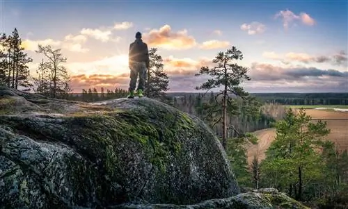 Новости путешествий - Финляндия Новости путешествий - Финляндия