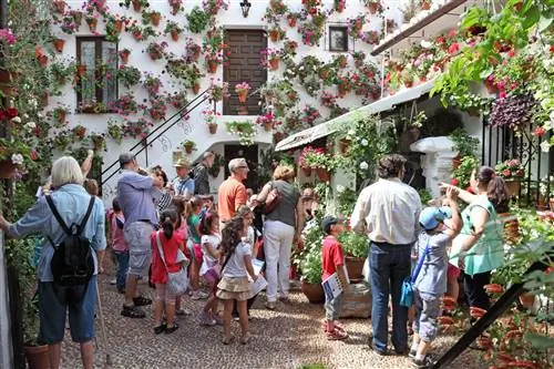 Усаженный цветами внутренний двор во время Fiesta de los Patios de Córdoba.