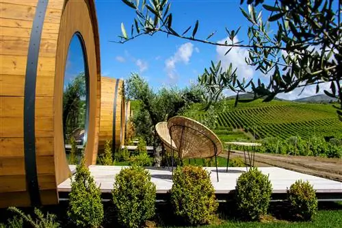 Новости путешествий - Quinta da Pacheca Новости путешествий - Quinta da Pacheca