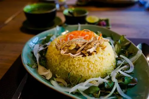 Курица и рис в Хойане