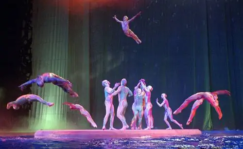 Акробаты Cirque du Soleil исполняют «Баржу из O» в Лас-Вегасе