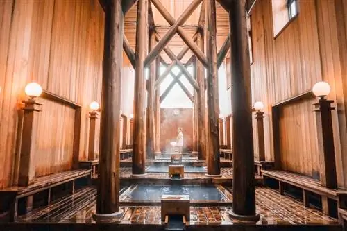 Kusatsu Onsen Otakinoyu Awaseyu Перегородочные ванны 1 - Hai Huynh-j.webp