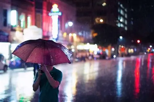 Почему зима - хорошее время для поездки в Остин (плюс другое время для посещения)