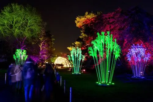 Уличная дорожка с неоновыми растениями в Бруклинском ботаническом саду.
